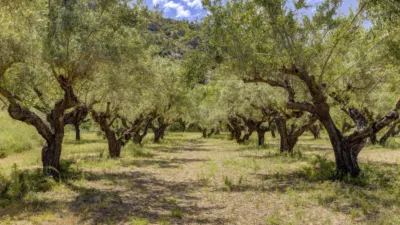 Rustic Finca in La Vila-Centre photo 3