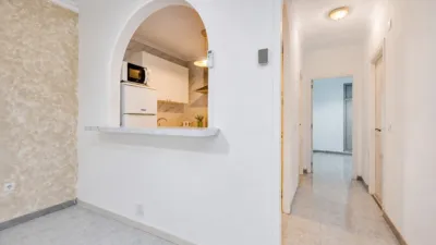 Apartment in Playa de los Locos photo 17