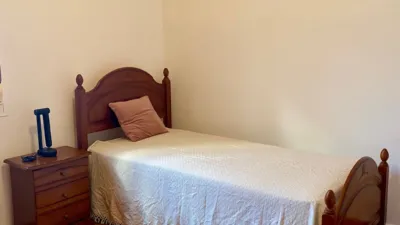 House in Benalup-Casas Viejas photo 24