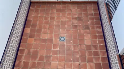 House in Benalup-Casas Viejas photo 58