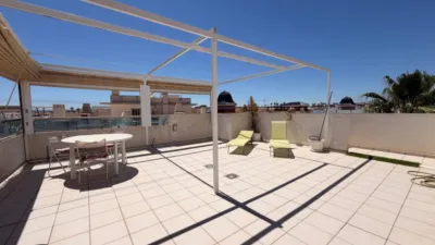 Apartment in Doña Pepa photo 21