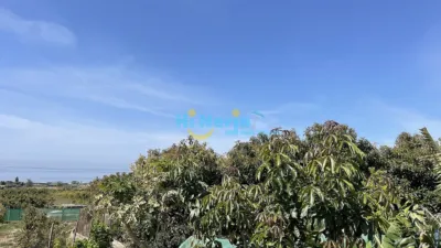 House in , Beach Area, in the Centre, Close to the Village, Village photo 27