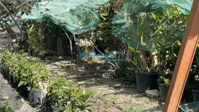 House in , Beach Area, in the Centre, Close to the Village, Village photo 46
