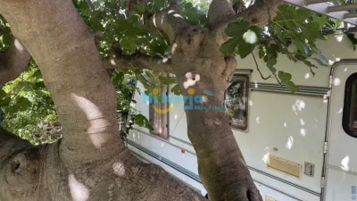 House in , Beach Area, in the Centre, Close to the Village, Village photo 48