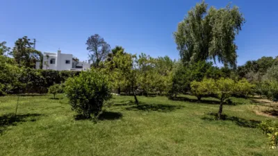 Chalet in Centro photo 35