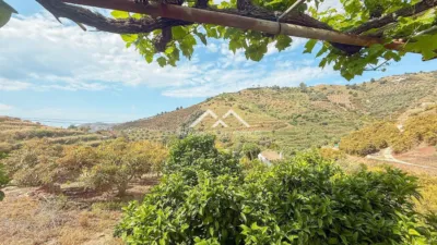 Rustic finca in , in El Campo, Close to the Village photo 26