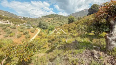 Rustic finca in , in El Campo, Close to the Village photo 29