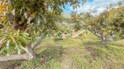 Rustic finca in , in El Campo, Close to the Village photo 30
