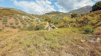 Rustic finca in , in El Campo, Close to the Village photo 31