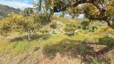 Rustic finca in , in El Campo, Close to the Village photo 32