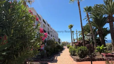 Apartment on Avenida Maria Angeles Ascanio Cullen photo 6