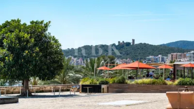 Apartment in Santa Catalina photo 10