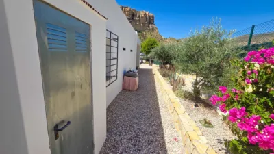House in Crevillente photo 38