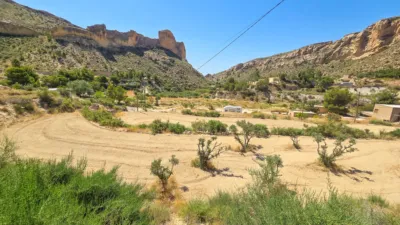 House in Crevillente photo 41