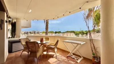 Pis – Orihuela - Vista 2