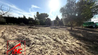 Rustic finca in Lebrija photo 23