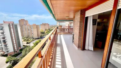 Pis – Orihuela - Vista 4
