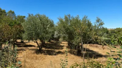 House in Brea de Tajo photo 8
