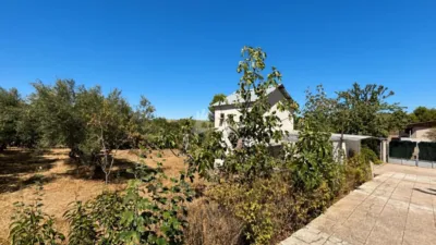 House in Brea de Tajo photo 9