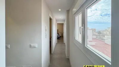 Apartment on Paseo de Almería photo 5