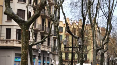Flat on Rambla del Poblenou photo 13