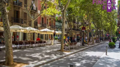 Flat on Rambla del Poblenou photo 14