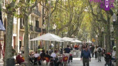 Flat on Rambla del Poblenou photo 15