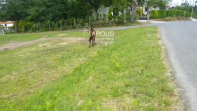 Terreno en venta en Vedra - Vista 3