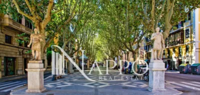 Ático en alquiler en La Llotja, Sant Nicolau (Distrito Centre. Palma de Mallorca) de 3.500 €<span>/mes</span>