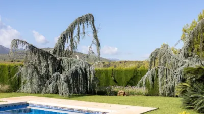 Rustic Finca in Coín photo 15