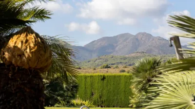 Rustic Finca in Coín photo 18