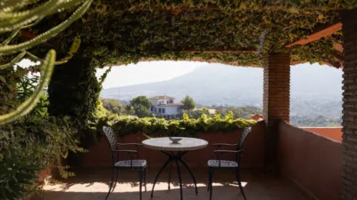 Rustic Finca in Coín photo 19