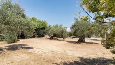Rustic Finca in Marmolejo photo 30