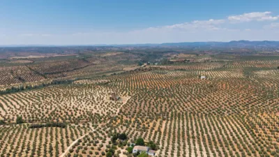 Rustic Finca in Marmolejo photo 34