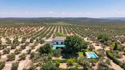 Rustic Finca in Marmolejo photo 36