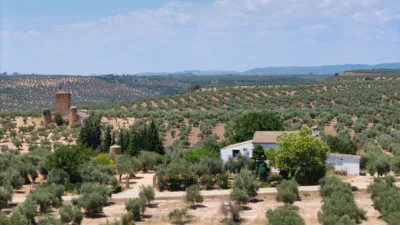 Rustic Finca in Marmolejo photo 37