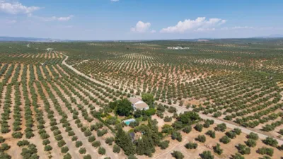 Rustic Finca in Marmolejo photo 39