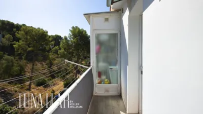 Apartment in Bellamar photo 18
