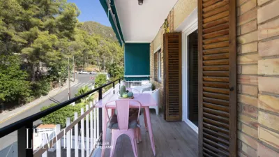 Apartment in Bellamar photo 6