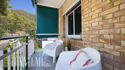Apartment in Bellamar photo 7