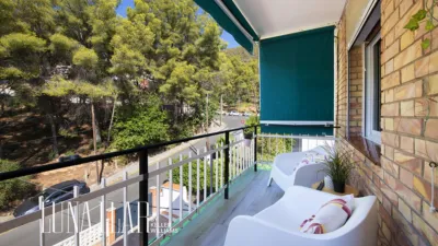 Apartment in Bellamar photo 8