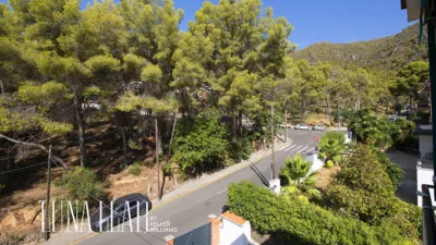 Apartment in Bellamar photo 9