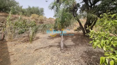 House in Periferia, El Campo, Rural Area, Mountain photo 36