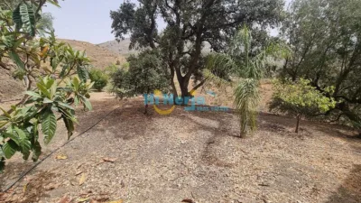 House in Periferia, El Campo, Rural Area, Mountain photo 37