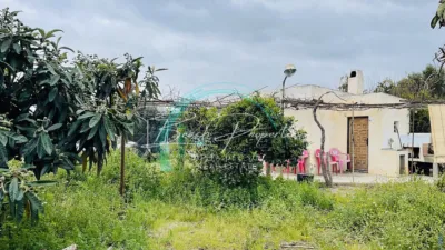 House in 1A. Playa Line, Beach Area, in the Centre, Close to the Village, Village photo 25