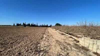 Terreno en venta en Fantástica Oportunidad de Terreno en Valverde en Las Pedanías de Elche - Vista 2