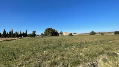 Terreno en venta en Fantástica Oportunidad de Terreno en Valverde en Las Pedanías de Elche - Vista 3