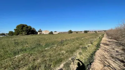 Terreno en venta en Fantástica Oportunidad de Terreno en Valverde en Las Pedanías de Elche - Vista 4