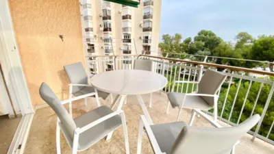Pis – Orihuela - Vista 3