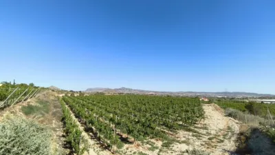 Terreno en venta en Calle Paraje La Serreta - Vista 3